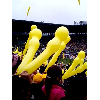 黄色ばかりの風船